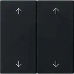 Gira Wippe 2-fach 5387005
