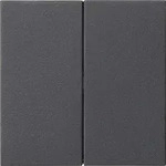Gira Wippe 2-fach 537028