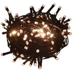 vidaXL Lichterkette mit 1000 LEDs 100 m 8 Lichteffekte IP44 Warmwei&szlig;
