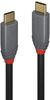 LINDY USB-Kabel USB 3.2 Gen2x2 USB-C® Stecker, USB-C® Stecker 0.5 m Schwarz, Grau 