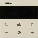 Gira RTR Display 539301