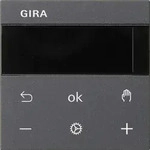 Gira RTR BT System 539428