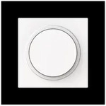 Busch-Jaeger Zentralscheibe 6540-44M-102 2CKA006599A3053