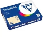 Clairefontaine Kopierpapier 1787PC A4 80g chamois 500 Blatt