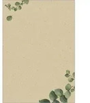 Sigel Motiv-Papier A4 100g Graspapier Eucalyptus 100 Blatt