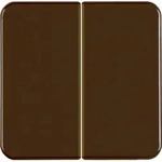 Berker Wippe br/gl 155211