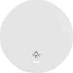 Berker Wippe pows/gl 16212079
