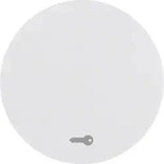 Berker Wippe pows/gl 16202059