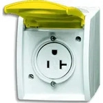 Busch-Jaeger Busch-Nema-Steckdose,20 A 3016 EWN-54 2CKA002124A0026