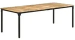 vidaXL Esstisch 220x100x76 cm Raues Mangoholz