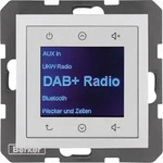 Berker Radio DAB+, Bt., B.x alu 30841404