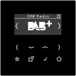 Jung Smart DAB+ Digitalradio DAB LS SW DABLSSW