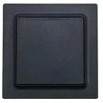 Eltako Funktaster F2T55E-am 30055718