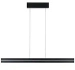 Paulmann LED Pendelleuchte Raiko RGBW+ dimmbar 1400lm / 240lm 19W / 6W Schwarz 78474