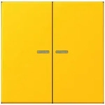 Jung Wippe 2fach m. Lichtleiter LC 995 KO5 263 LC995KO5263