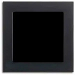 Busch-Jaeger Rahmen, 2f, schwarz, Glas, geeignet f&uuml;r Unterputz-Installation