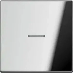 Jung Wippe Lichtleiter gl.chr GCR 2990 KO5 GCR2990KO5