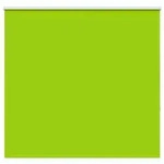 vidaXL Verdunkelungsrollo Gr&uuml;n 155x150cm Stoffbreite 151,6cm Polyester