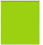 vidaXL Verdunkelungsrollo Gr&uuml;n 125x150cm Stoffbreite 121,6cm Polyester