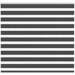 vidaXL Doppelrollo Schwarz 155x150 cm Stoffbreite 150,9 cm Polyester