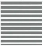 vidaXL Doppelrollo Dunkelgrau 150x100 cm Stoffbreite 145,9 cm Polyester