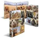 Herma Ringbuch Karton 4D-Ring A4 35 mm R&uuml;ckenbreite Afrika Tiere
