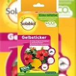 Solabiol Gelbsticker 10 St&uuml;ck Spezialleim ohne Insektizid