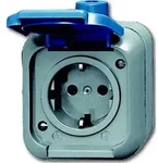 Busch-Jaeger Steckdose 2300 EWSI 2CKA002083A0368