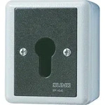Jung Schl&uuml;sselschalter 833.18 G 833.18G