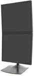 Ergotron DS100 Dual Monitor St&auml;nder/Standfu&szlig; vertikal, schwarz (33-091-200)