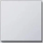Gira Wippe Wechselsch. rws 029666