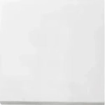 Gira Wippe Wechselsch. rws-gl 0296112