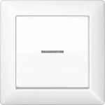 Jung Abdeckung Lichtleiter aws AS 590 KO5 WW AS590KO5WW