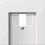 Gira Fl&auml;che Zentralplatte, USB/TAE, 1f, reinwei&szlig;, Befestigung mit Schraube, ohne