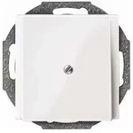 Merten Zentralplatte pws/gl 296319