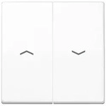 Jung Wippe Symbole aws AS 591-5 PBF WW AS591-5PBFWW