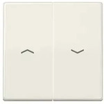 Jung Wippe Symbole ws ABAS 591-5 P ABAS591-5P