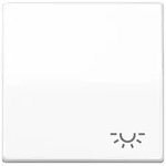 Jung Wippe Symbol LICHT aws AS 591 L WW AS591LWW