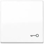 Jung Wippe Symbol T&Uuml;R aws AS 591 T WW AS591TWW