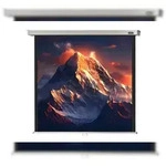 celexon Leinwand Rollo Professional 280 x 280 cm - 156`