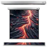 celexon Leinwand Motor Professional Plus 200 x 200 cm