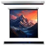 celexon Leinwand Rollo Professional Plus 220 x 220 cm - 122`