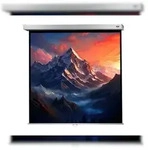 celexon Leinwand Rollo Professional Plus 240 x 240 cm - 134`