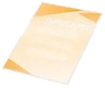 GBC Folientasche DocumentPouch IB585067 DIN A6 80mic 100 St./Pack.