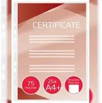 GBC Folientasche OrganisePouch 3747515 DIN A4 125mic 25 St./Pack.