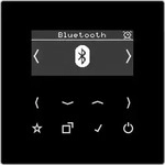 Jung Smart DAB+ Digitalradio DAB LS BT SW DABLSBTSW