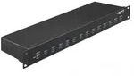 Delock 19 Industrie Hub 13 x USB 3.1 Gen 1 Typ-A