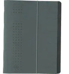 ELBA Ordnungsmappe chic A4 12 F&auml;cher Karton 450 g/qm anthrazit