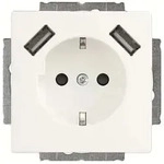 Busch-Jaeger SCHUKO-2x USB Steckdose 20 EUCB2USB-884 2CKA002011A6277