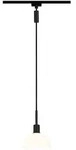 Paulmann URail Pendel Sarrasani E14 max. 20W dimmbar 230V Schwarz matt#Opal 96974